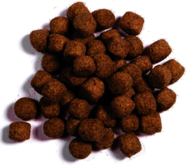 Koifutter | KOIMENUE® | Koi-Sommer Plus